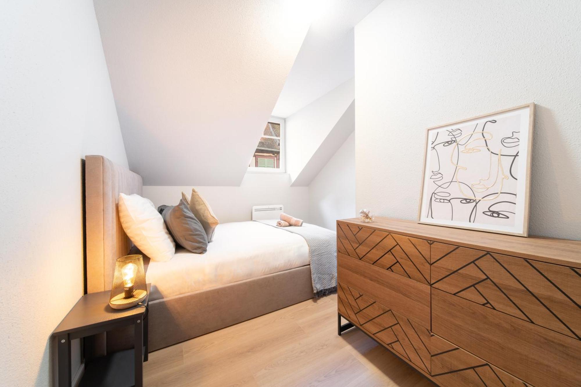 Le Grand Lion Centre Parking Gratuit Appartement Colmar