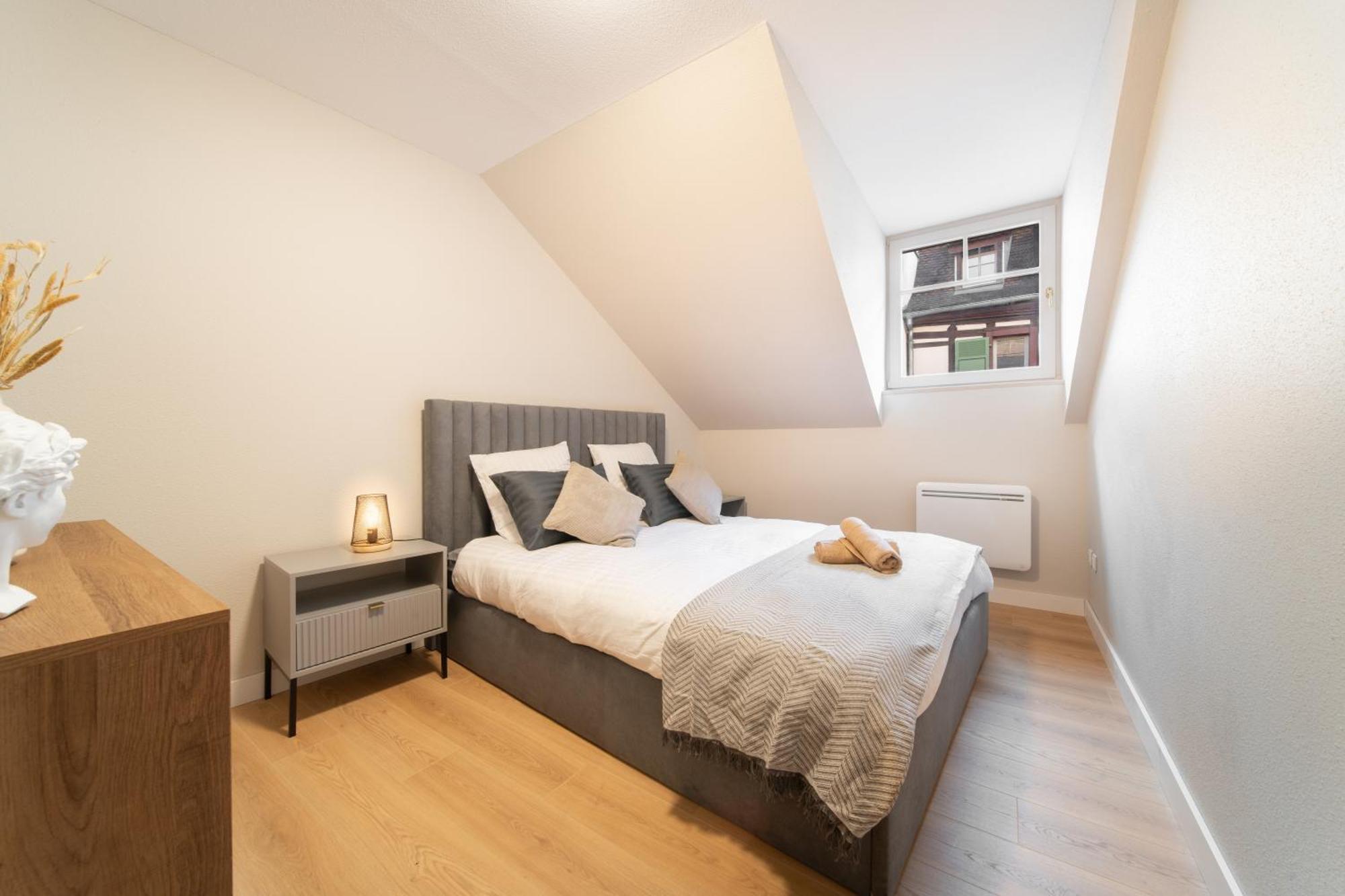 Le Grand Lion Centre Parking Gratuit * Colmar