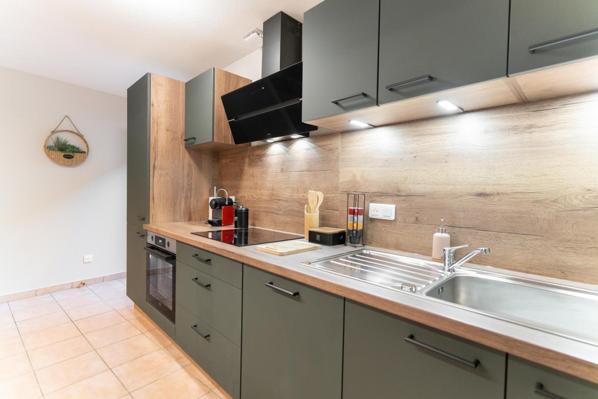 Appartement Le Grand Lion Centre Parking Gratuit Colmar